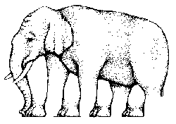 Odpoved